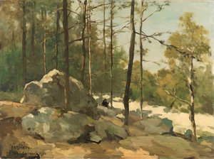 Bosgezicht nabij Barbizon