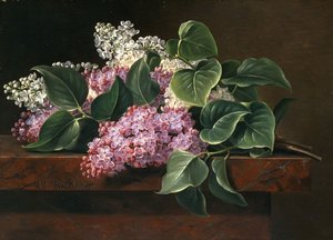 Sering op een Ledge door Johan Laurents Jensen