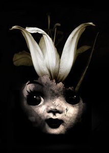 Poppenbloem