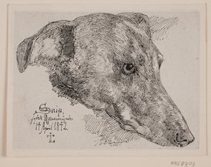 Deens: Hundehoved, Snip