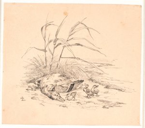 De gedode wilde eend. Illustratie voor Kaalunds "Fabler voor kinderen". Zie opmerking uit het archiefcatalogus.
