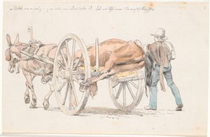Een Dood Paard wordt Weggereden op een Ezelkar