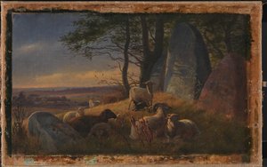 Avondscène met schapen op een heuvel