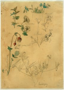 J. Th. Lundbye, plantenstudie