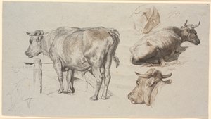 Veestudies. Links de Stier Grev Geert door Johan Thomas Lundbye