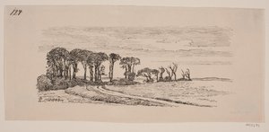 Landschap met een rij bomen