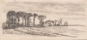 Landschap met een rij bomen