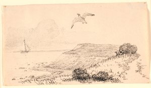 Mågen. Illustratie voor Kaalunds "Fabler for Børn"