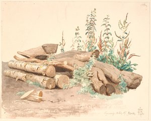 Enkele gevelde boomstammen, een waterbak en verschillende plantengroei door Johan Thomas Lundbye