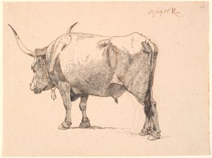 Romeinse stier met bel om de hals, schuin van achteren gezien door Johan Thomas Lundbye