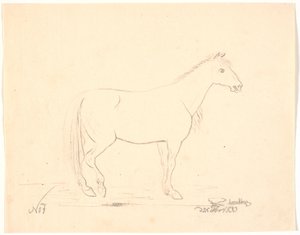 Staand paard in profiel rechts