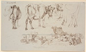 Studieblad van Vognserup. Bovenaan studies van koeien, onderaan landschap met staande en liggende koeien door Johan Thomas Lundbye