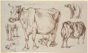 Studieblad van Vognserup. Verschillende studies van een koe door Johan Thomas Lundbye
