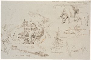Studieblad van Vognserup. Links een herder (oude Rasmus Larsen) zittend met een hond bij een hek. Rechts een landschapsstudie met plaatsnamen. Hieronder twee varkens. Rechts een studie van riet in een meer. Hieronder een koningskaarsplant en een studie van door Johan Thomas Lundbye