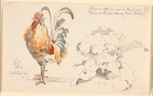 Studieblad met een haan en een zuring door Johan Thomas Lundbye