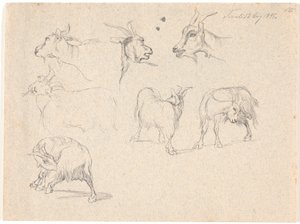 Studies van geiten