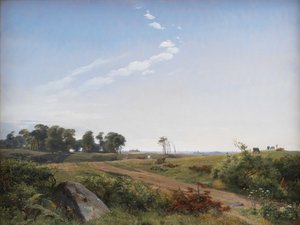 Zeelands landschap. Open land in Noord-Zeeland door Johan Thomas Lundbye