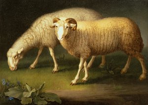 Een Ram en Schapen door Johan Wenzel Peter