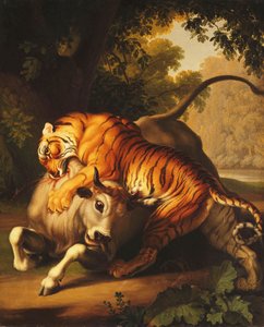 Een tijger die een stier aanvalt, 1785 door Johan Wenzel Peter