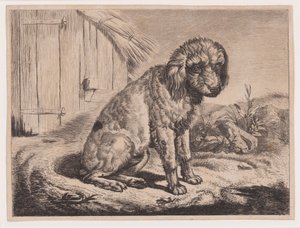 Zittende hond door Johann Adam Klein