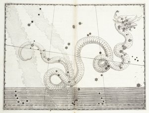 Constellatie van Serpens Caput en Serpens Cauda, ca. 1603 door Johann Bayer