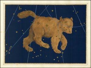 Johann Bayer, Ursa Major door Johann Bayer