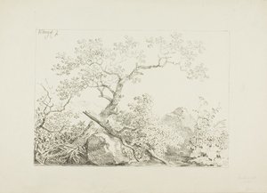 Bomen en rotsen bij water