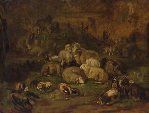 Schapen, Geiten en Kippen