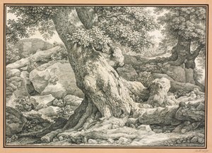  door Johann Christian Reinhart
