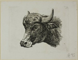 Buffelhoofd naar links, uit Die Zweite Thierfolge door Johann Christian Reinhart