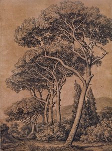 J C Reinhart parasoldennen 1791 door Johann Christian Reinhart