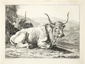 Twee rustende Romeinse stieren, uit Die Zwiete Thierfolge