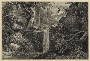 Waterval in het bos door Johann Christoph Erhard