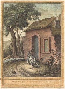 De oude kat en de jonge muis