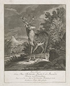 Een Prachtige Hert in een Landschap