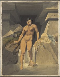 Een verzameling van Waldeck