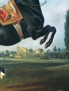 Een zwart paard dat de Courbette uitvoert (detail)