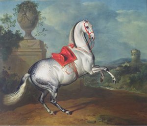 De schimmel in galop