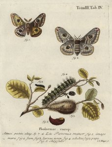 Onbekend beeld door Johann Georg Klinger