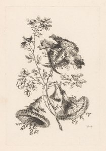Driehoekige bloemen door Johann Heinrich  Hess