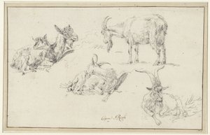 Studies van een bok door Johann Heinrich Roos (possibly)