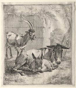 Geit en ezels door Johann Heinrich Roos