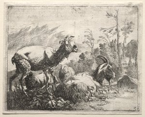 Geiten door Johann Heinrich Roos