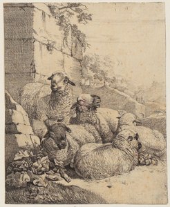 Vier liggende en één staand schaap voor een muur, blad uit de serie “Schapen en geiten” door Johann Heinrich Roos