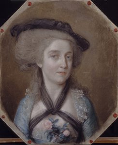 Portret van Loewis van Menar, 1784