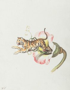 Tijger springt uit een bloemenkroon. Allegorie op bloemzaden, 1817