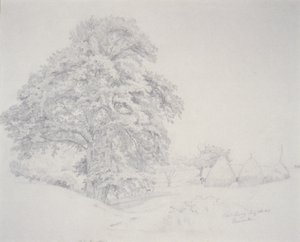 Koude Lente