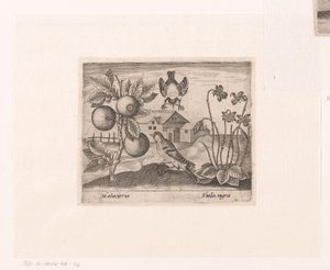 Serie van prenten met bloemen en dieren in een landschap (Landschappen met dieren, planten en bloemen)
