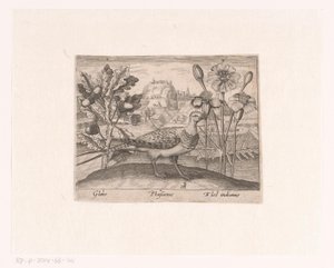 Serie prenten met bloemen en dieren in een landschap