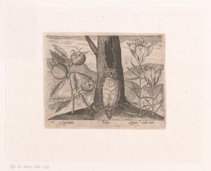 Serie prenten met bloemen en dieren in een landschap